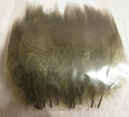 gadwall barred flank olive Wapsi